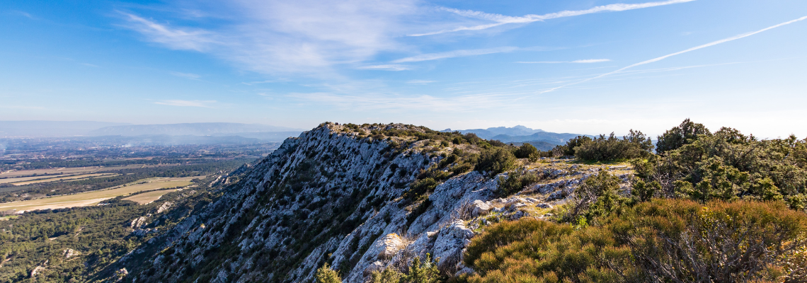 Fond décoratif paysager des Alpilles