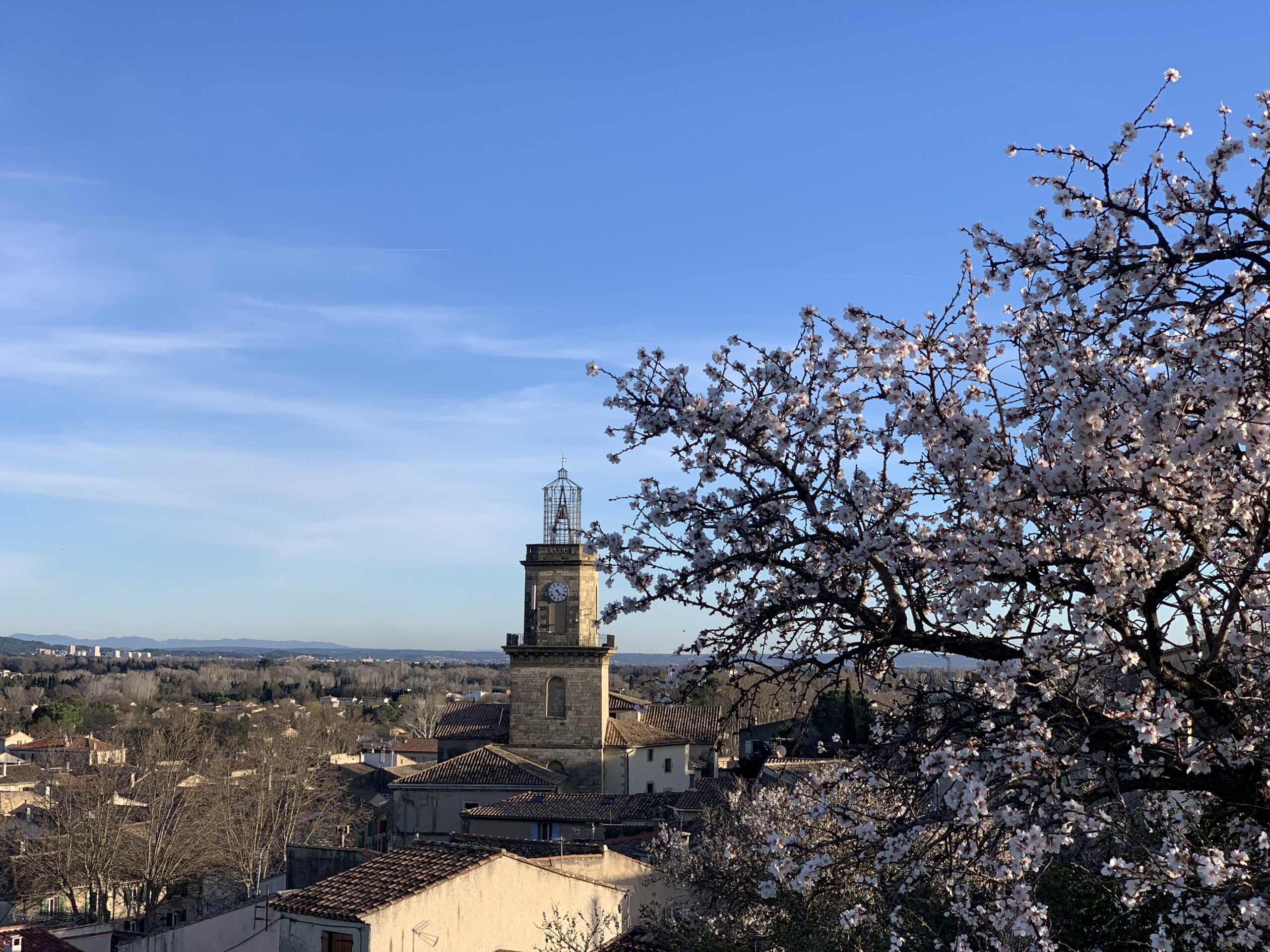 Conseil en communication Alpilles ALM SyntilCom Eyguières