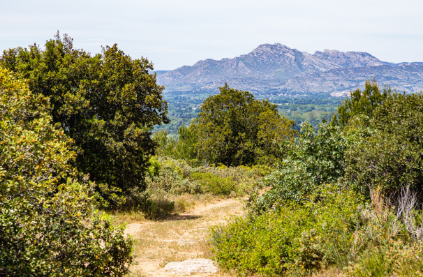 Agence de communication maussane les alpilles - ALM Syntil'Com