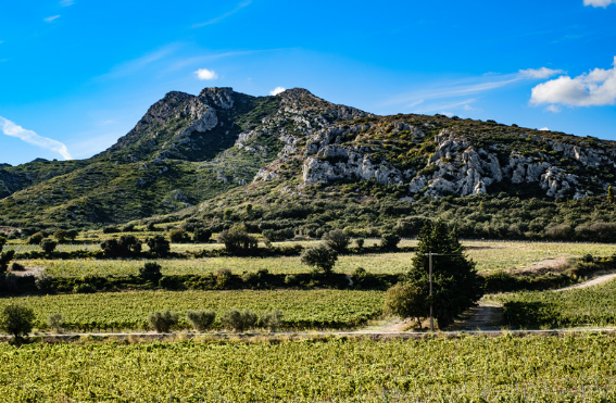 Agence de communication st remy de provence ALM SyntilCom